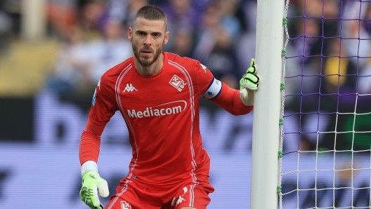 德赫亞：弗格森就像我的父親；金斯基？只有門將才能理解門將